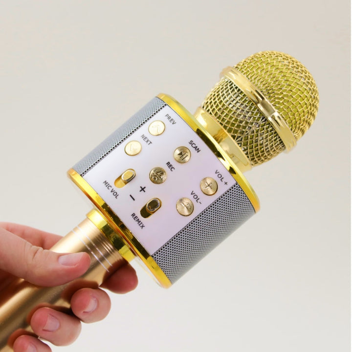 Wireless Karaoke Microphone