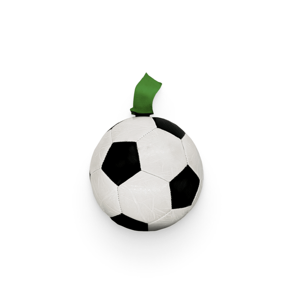 Dog Soccer Ball Toy