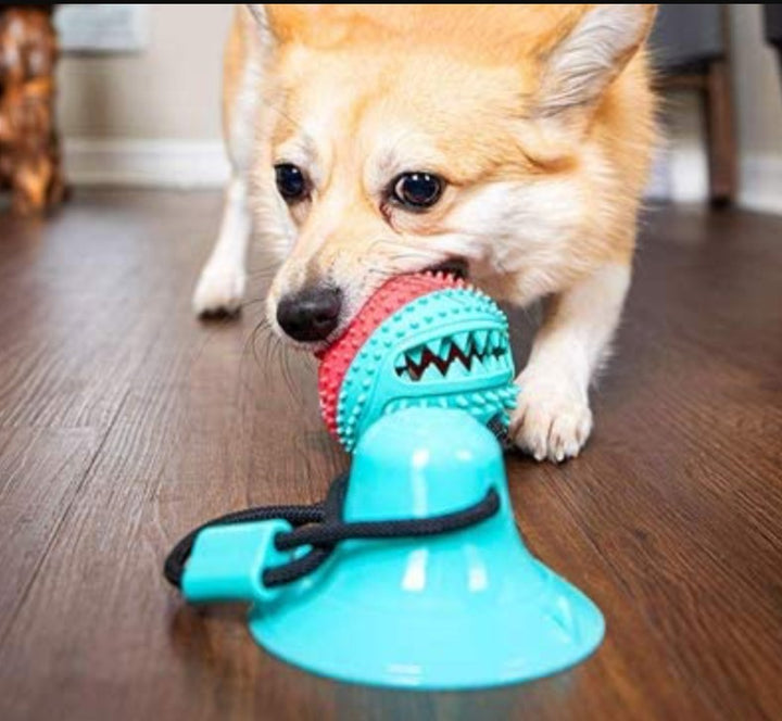 Tug-of-Floor Dog Toy