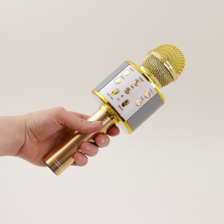 Wireless Karaoke Microphone